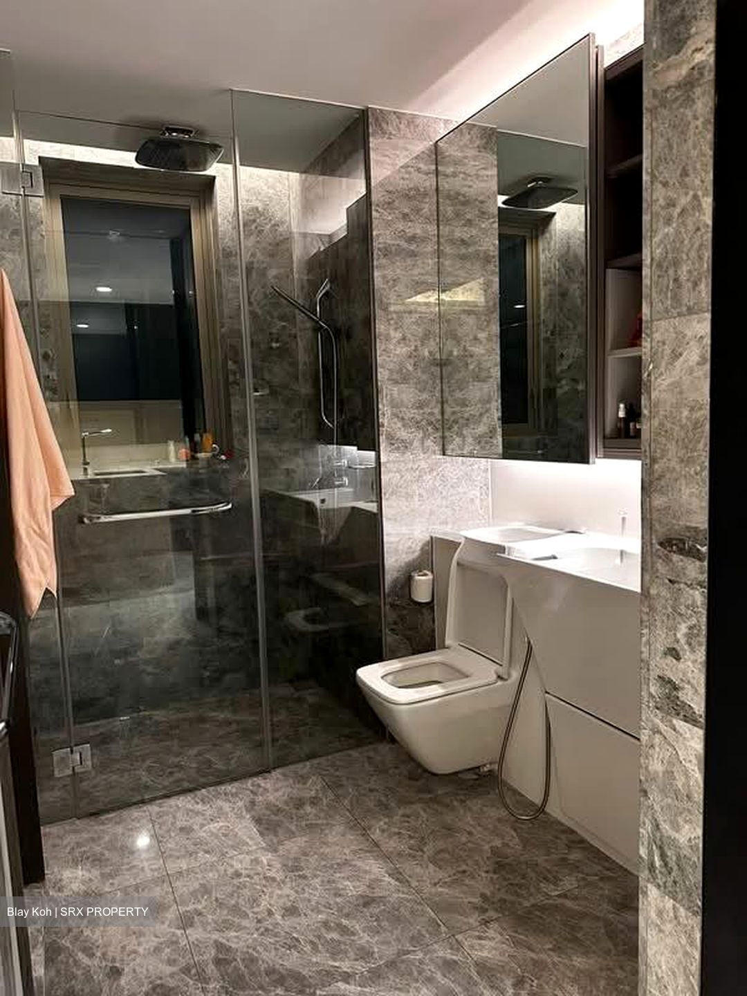 Cairnhill Nine (D9), Apartment #560863001
